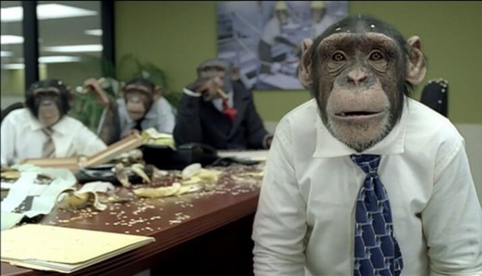 office monkeys
