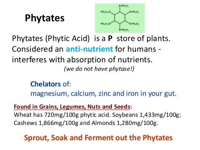 phytates - Indian Society for Strength Training