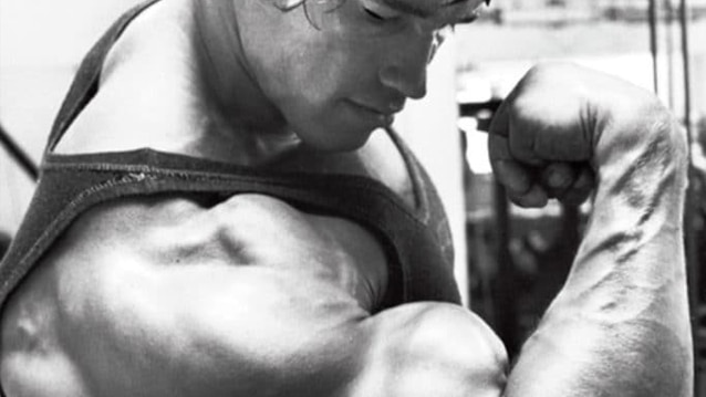 Big biceps & triceps